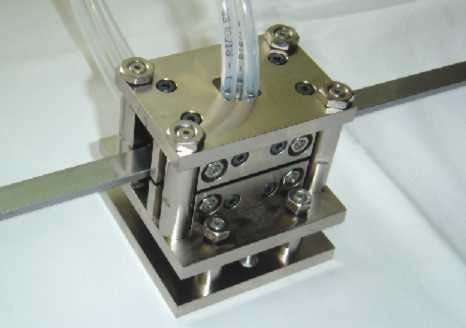 Banddicke-1